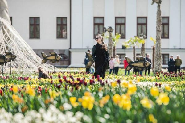 Didžiausio šalyje dvaro gėlininkai: šių faktų apie tulpes Lietuvoje nežino daugelis