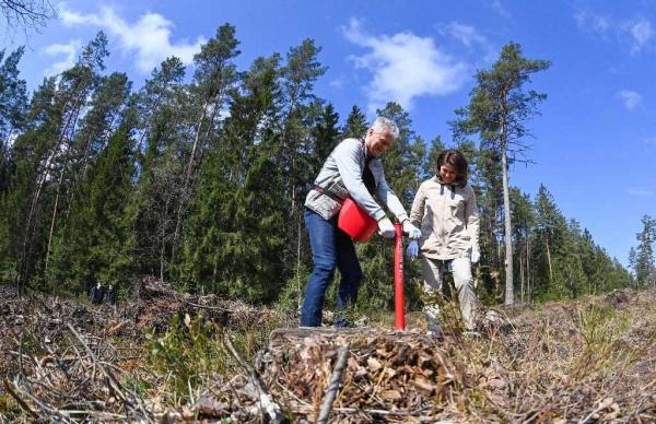 Panevėžio rajono savivaldybė jungiasi prie nacionalinio miškasodžio iniciatyvos