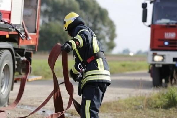 Panevėžio rajone ugniagesiai gelbėjo tarp metalinių strypų įstrigusį arklį