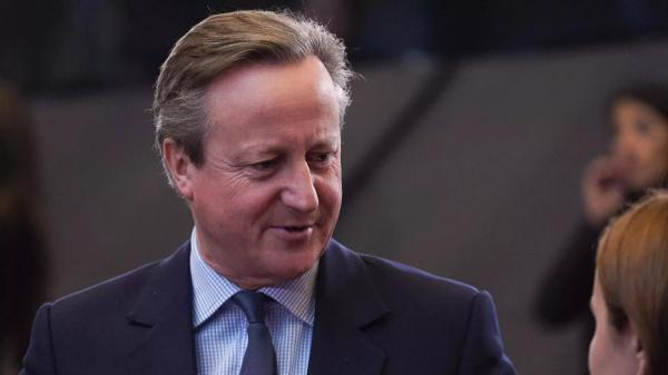 D. Cameronas nepritaria karių siuntimui į Ukrainą, net ir mokymams (papildytas)
