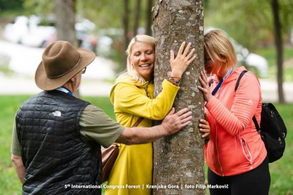 Lietuvoje rengiamasi pasauliniam miškų kongresui