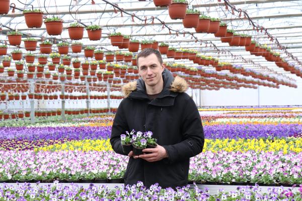 Alytaus rajone – net gėlininkystės guru olandus stebinančios gėlės