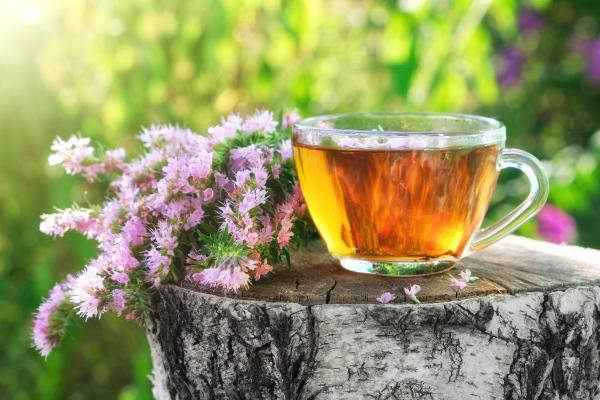 Juozažolės arbata – vaistas nuo kvėpavimo takų bei virškinimo ligų. Kodėl ją vartoti reikia atsargiai?