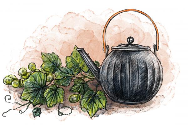 Vynuogių lapų arbata – gydanti galia arbatos puodelyje. Ar ji gali padėti įveikti vėžį?