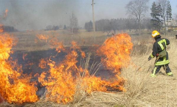 Už žolės deginimą – bauda ir žalos gamtai atlyginimas