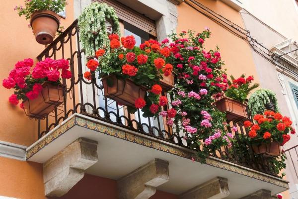 Gėlės balkone: kaip teisingai jas pasirinkti ir apželdinti?