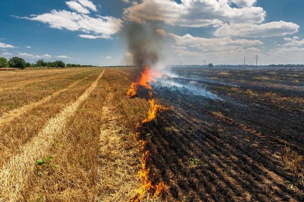 Žolės deginimas – žala gamtai ir žmogui. Ką draudžiama deginti, kokios išimtys taikomos ir kokia gresia atsakomybė?
