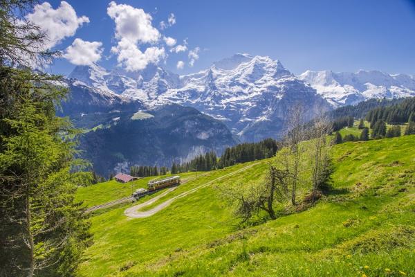 Šveicarijos Alpėse penki dingę slidininkai surasti negyvi, dar vieno ieškoma