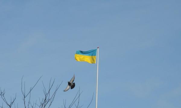Latvis nuteistas kalėti dvejus metus už tai, kad užpuolė vyrą su Ukrainos vėliava