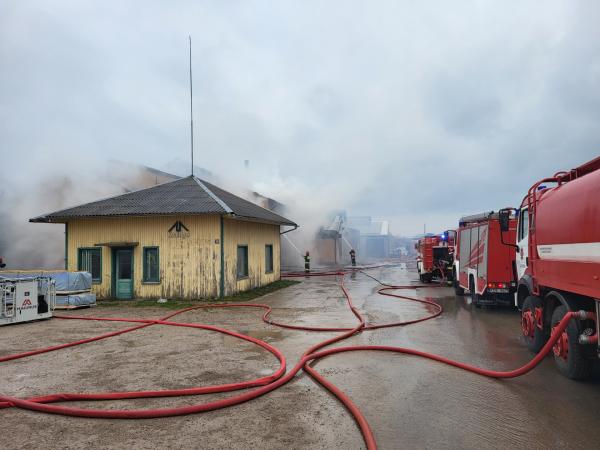 Kretingoje medienos įmonėje kilo gaisras, gyventojai perspėti dėl taršos