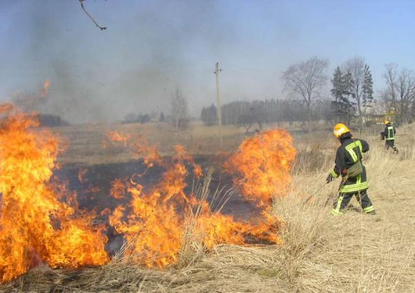 Ilgąjį šventinį savaitgalį gaisre žuvo moteris, degė sandėliavimo ir medienos apdirbimo pastatai, liepsnojo žolė