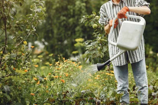Kodėl kovai su piktžolėmis verta pasirinkti herbicidus?