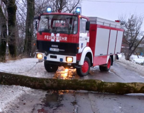 Pirmadienį Kaišiadorių ugniagesiams teko supjaustyti net 17 vėjo nuverstų medžių