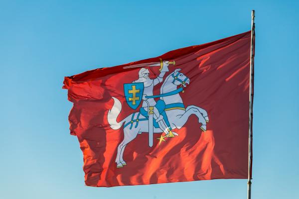 Lietuvos istorinė vėliava atsiras pasienio kontrolės punktuose