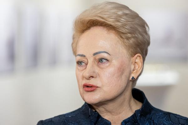 D. Grybauskaitė ragina Lietuvos „taikaus gyvenimo biudžetą“ versti „gynybos biudžetu“