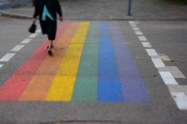 Ramūnas Aušrotas. Vyriausybė remia LGBT organizacijas, nes pataikauja Briuseliui