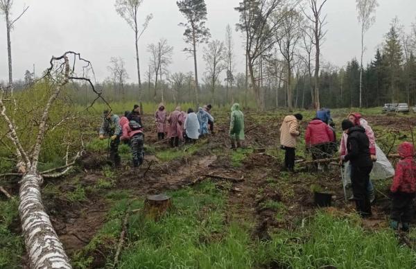 Kalvarijiečiai prisijungė prie nacionalinio miškasodžio akcijos „Kad giria žaliuotų“