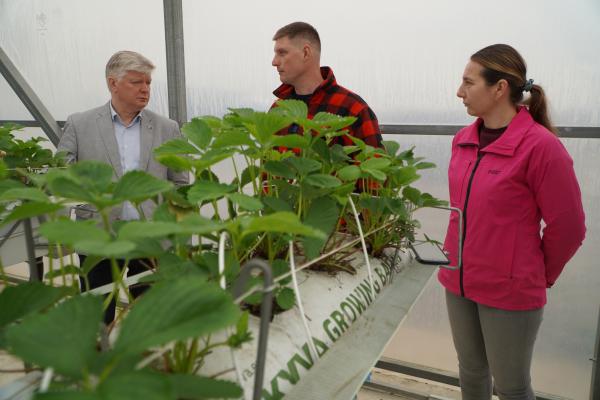 Žemės ūkio Ministras įvertino Jaunų Biržiečių Entuziazmą Diegiant Inovacijas Braškių ūkyje